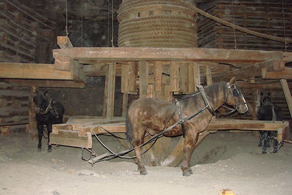 Wieliczka, rekonstruierte Pferdegöpel (Bild: Rj1979)
