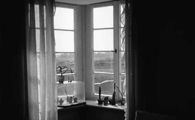 Ausblick durch ein Fenster ins Grüne, Siedlung Georgsgarten (Otto Haesler), Celle, Filmstill (Bild: Bauhaus-Archiv Berlin)