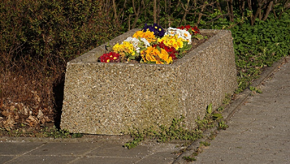 Radeberg, Blumenkübel (Bild: Matthias Hahndorf)