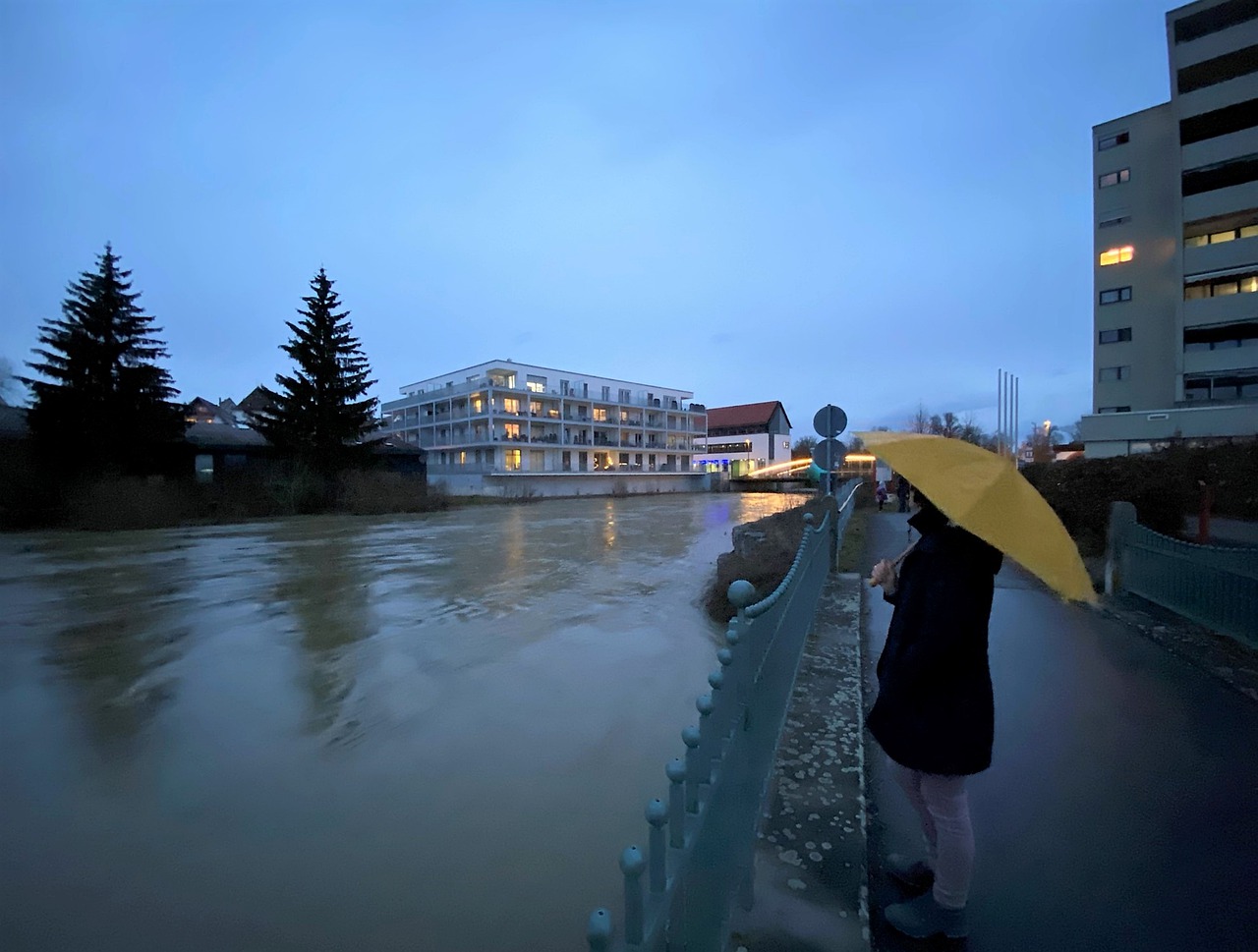 Hochwasser an der Donau (Bild: PD)
